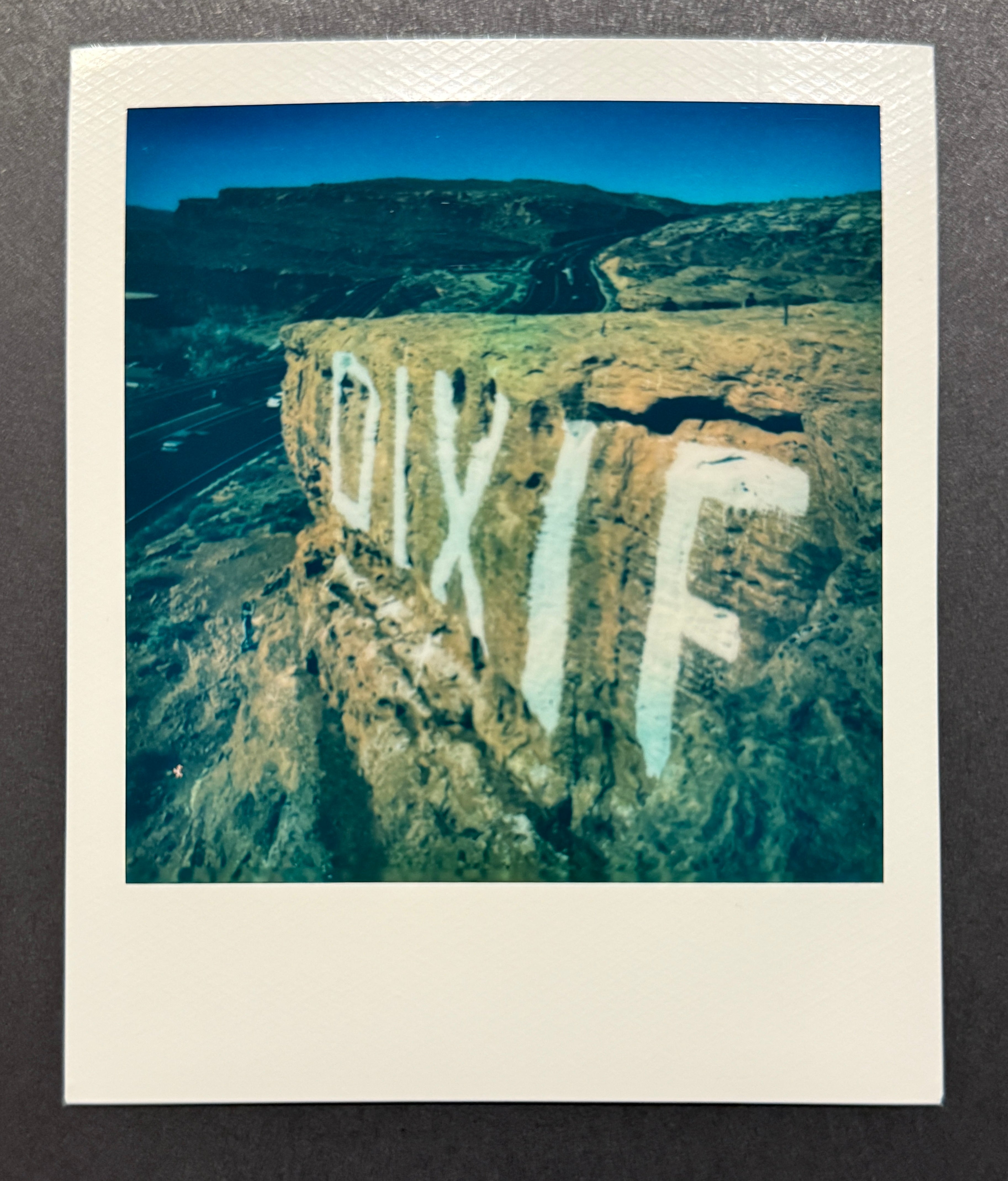 Dixie Rock Polaroid